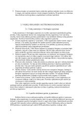 Radiacinė sauga tiriant vaikus 5 puslapis