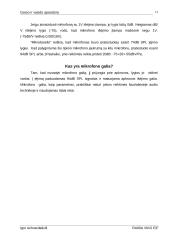 Elektrostatiniai mikrofonai 13 puslapis