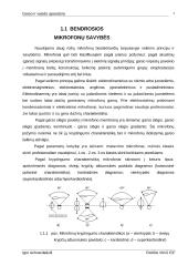 Elektrostatiniai mikrofonai 3 puslapis