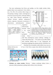 Mikroklimatas, oro švarumo kriterijai, valymo būdai ir technologijos 17 puslapis