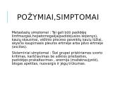 Vėžinės ląstelės (skaidrės) 12 puslapis