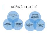 Vėžinės ląstelės (skaidrės) 4 puslapis