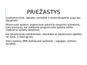 Vėžinės ląstelės (skaidrės) 5 puslapis