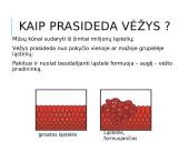 Vėžinės ląstelės (skaidrės) 7 puslapis