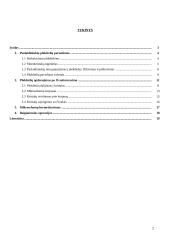 Mikroschemų surinkimo ir hermetizavimo metodai 2 puslapis