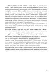 Mikroschemų surinkimo ir hermetizavimo metodai 12 puslapis