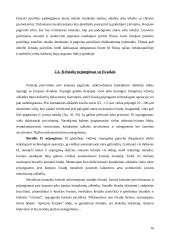 Mikroschemų surinkimo ir hermetizavimo metodai 16 puslapis