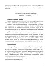 Mikroschemų surinkimo ir hermetizavimo metodai 8 puslapis