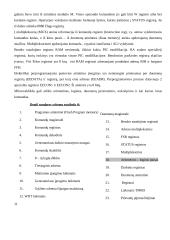 Mikrovaldikliai ir jų programavimas 13 puslapis