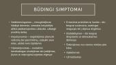 Aktyvumo ir dėmesio sutrikimas (ADHD) 3 puslapis
