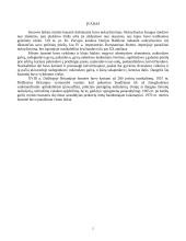 Mirties bausmė ir jos vieta bausmių sistemoje 2 puslapis