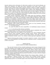 Mirties bausmė ir jos vieta bausmių sistemoje 4 puslapis