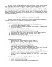 Mirties bausmė ir jos vieta bausmių sistemoje 5 puslapis