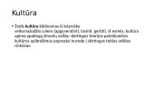 Kultūros samprata ir ženklinimas 2 puslapis