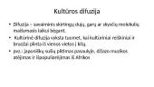 Kultūros samprata ir ženklinimas 5 puslapis