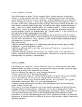 Mirtis - neišvengiama grėsmė ar kasdienė realybė? 2 puslapis