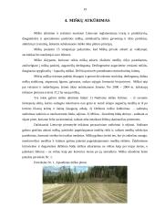 Miškų kirtimas ir apsauga 19 puslapis