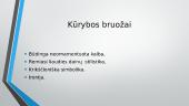 Kuo ypatinga išeivio patirtis? 12 puslapis