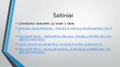 Kuo ypatinga išeivio patirtis? 16 puslapis