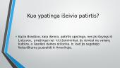 Kuo ypatinga išeivio patirtis? 8 puslapis