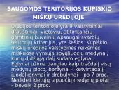Miškai ir saugomos teritorijos Kupiškio miškų urėdijoje 3 puslapis