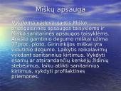 Miškai ir saugomos teritorijos Kupiškio miškų urėdijoje 5 puslapis