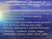 Miškai ir saugomos teritorijos Kupiškio miškų urėdijoje 8 puslapis