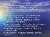 Miškai ir saugomos teritorijos Kupiškio miškų urėdijoje 9 puslapis