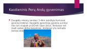 Kaip gyvenama ir ūkininkaujama Peru Anduose 6 puslapis