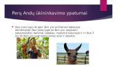 Kaip gyvenama ir ūkininkaujama Peru Anduose 7 puslapis