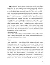 Miškų ekologinis vaidmuo 2 puslapis