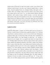 Miškų ekologinis vaidmuo 3 puslapis