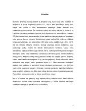 Miškų ekologinis vaidmuo 9 puslapis