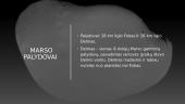 Skaidrės apie planetą: Marsas 11 puslapis