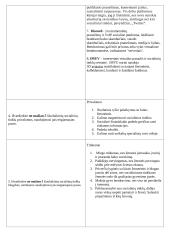 Informacinių technologijų namų darbas apie socialinius tinklus 8 puslapis