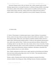 Keturmečių vaikų muzikinės veiklos atlikimo galimybės 2 puslapis