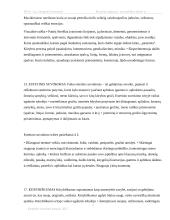 Keturmečių vaikų muzikinės veiklos atlikimo galimybės 3 puslapis