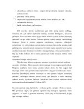 Senovės mityba 3 puslapis