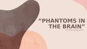 “Phantoms in the brain” V. S. Ramachandran