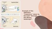 “Phantoms in the brain” V. S. Ramachandran 11 puslapis