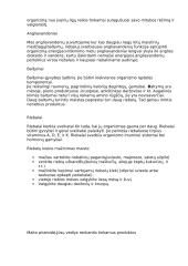 Mitybos režimas ir žmogaus sveikata. Valgiaraštis 2 puslapis