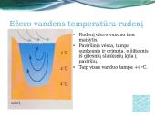 Vandens šiluminio plėtimosi ypatumai  8 puslapis
