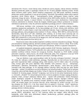 Mobiliųjų telekomunikacijų verslas ir plėtra Lietuvoje 6 puslapis