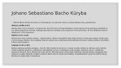 Johanas Sebastianas Bachas: skaidrės 3 puslapis