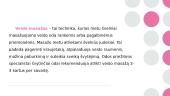 Veido masažas 3 puslapis