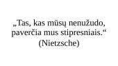 Friedrich Nietzsche. Filosofo pristatymas 13 puslapis