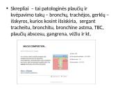 Skreplių tyrimas 2 puslapis