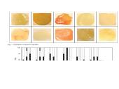 Skreplių tyrimas 12 puslapis