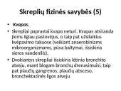 Skreplių tyrimas 14 puslapis