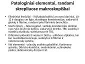 Skreplių tyrimas 15 puslapis